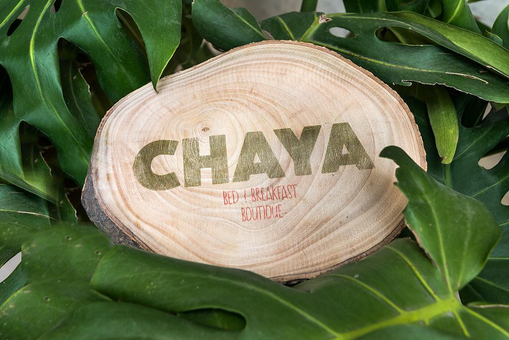 Chaya B&B Boutique Ciudad de México Pokoj fotografie