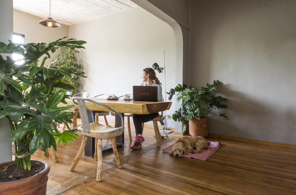 Chaya B&B Boutique Ciudad de México Exteriér fotografie